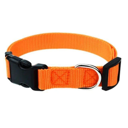 Nylon Pet Dog Collar Custom Embroidery Adjustable Quick Release Durable