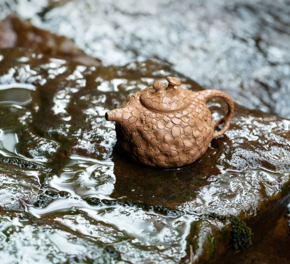 170cc chinese Yixing Handmade Zisha teapot Duan Clay GongChun Hu Gongfu Tea Pot