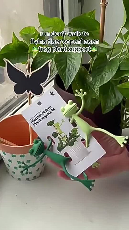 10 pieces of flower frog plant rack climbing vine plant fixed rack hot selling