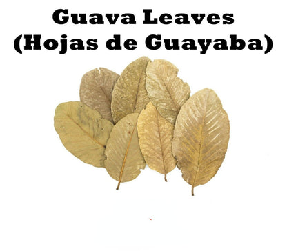 Premium Dried Guava Leaves Loose Leaf Tea - Hojas de Guayaba HELLOYOUNG