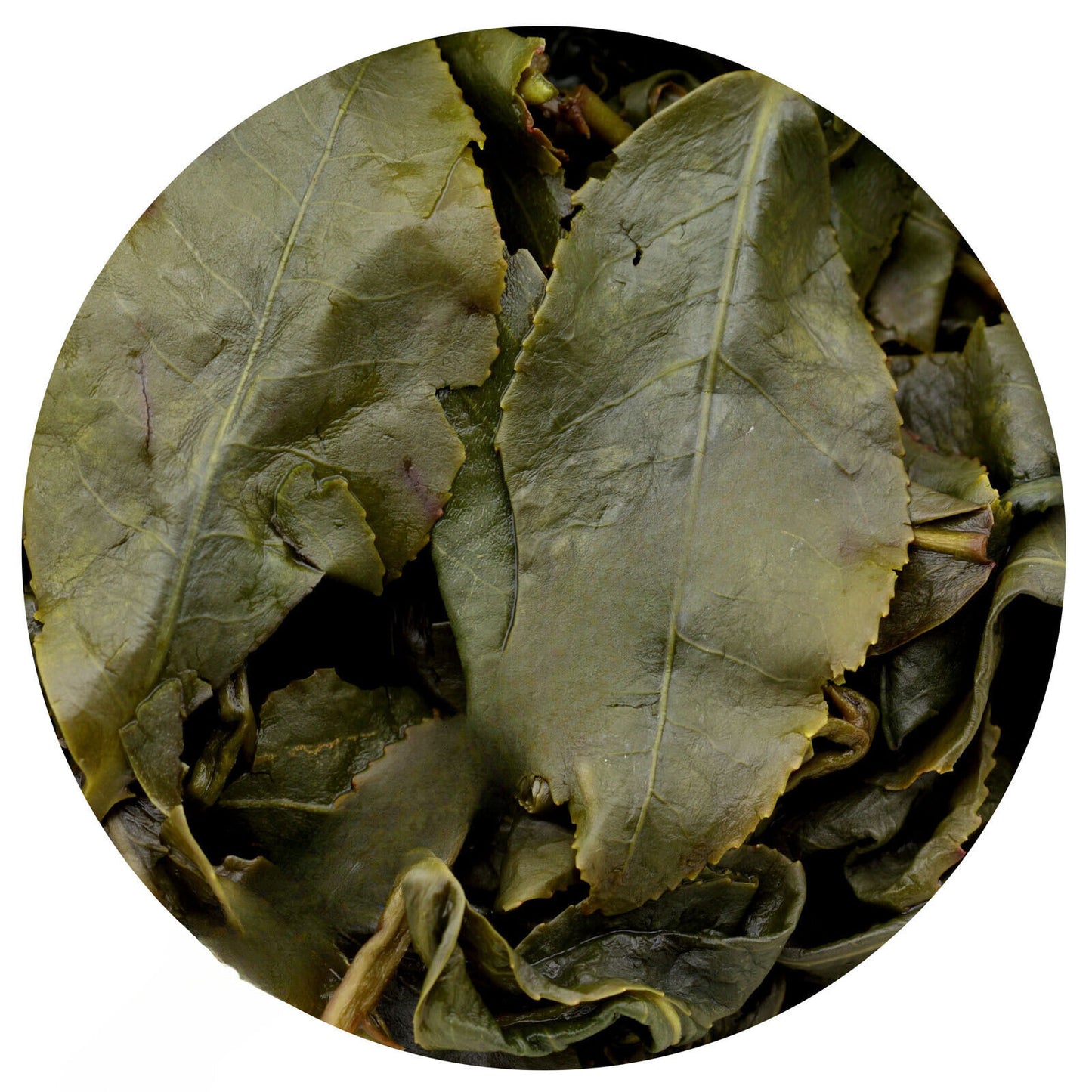 HELLOYOUNG Premium Taiwan Dongding Oolong Tea Tung-ting Green 100g/3.52oz
