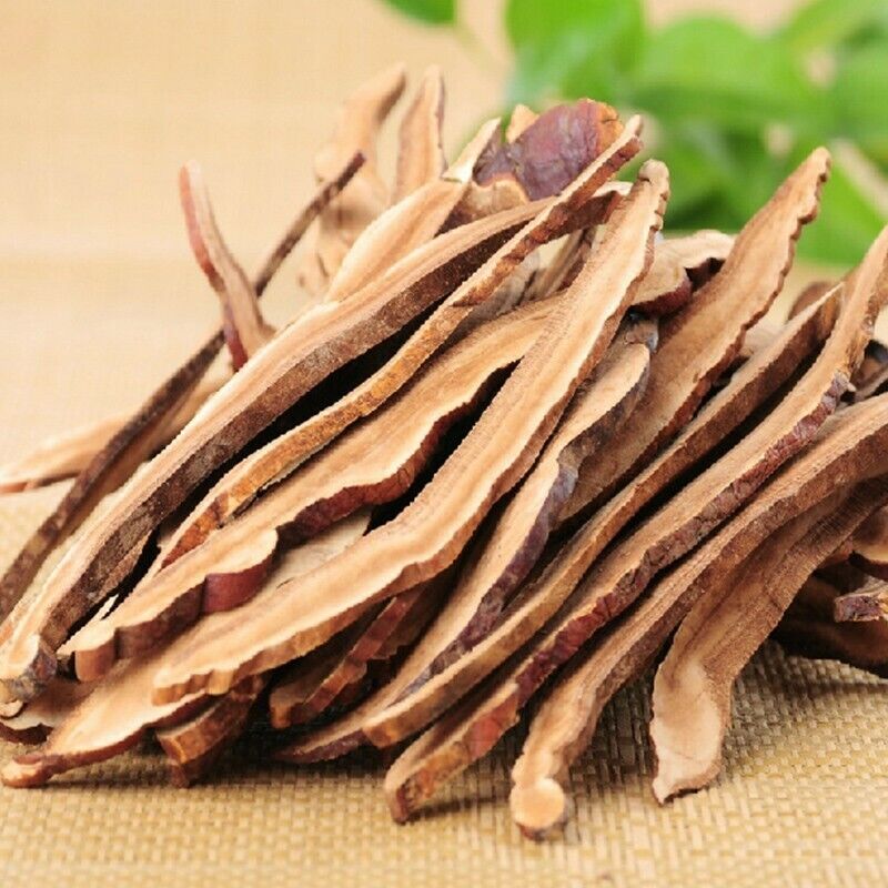 Lucidum Slices Tea Health Red Reishi Mushrooms Dried Wild Ganoderma-