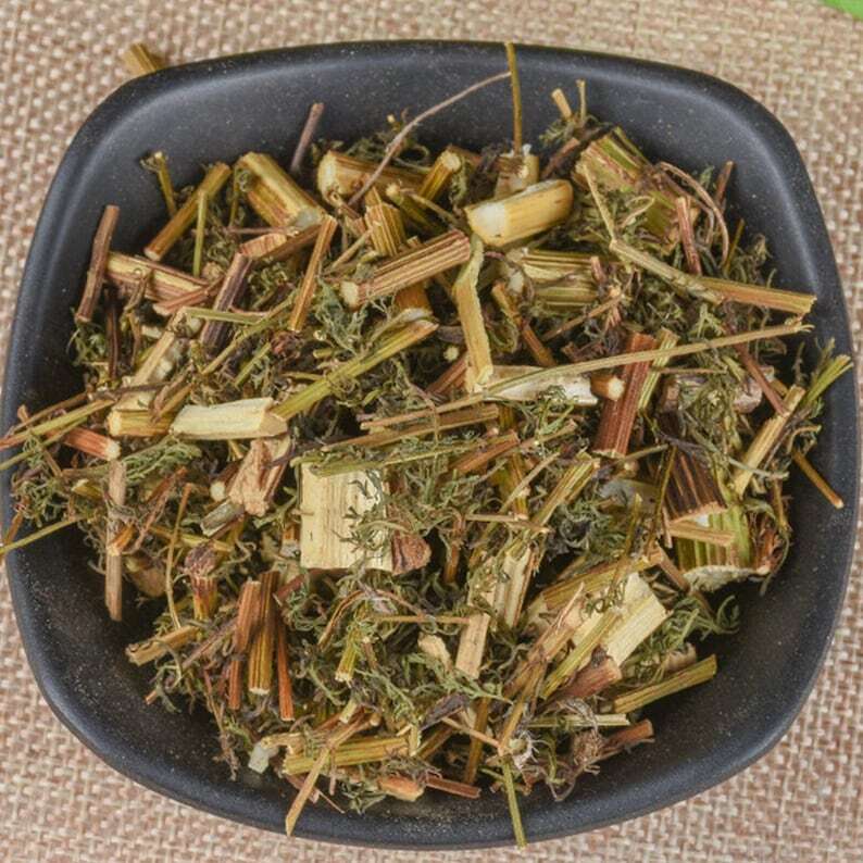 Organic Sweet Wormwood Herb Premium Artemisia Annua Qinghao Great Quality