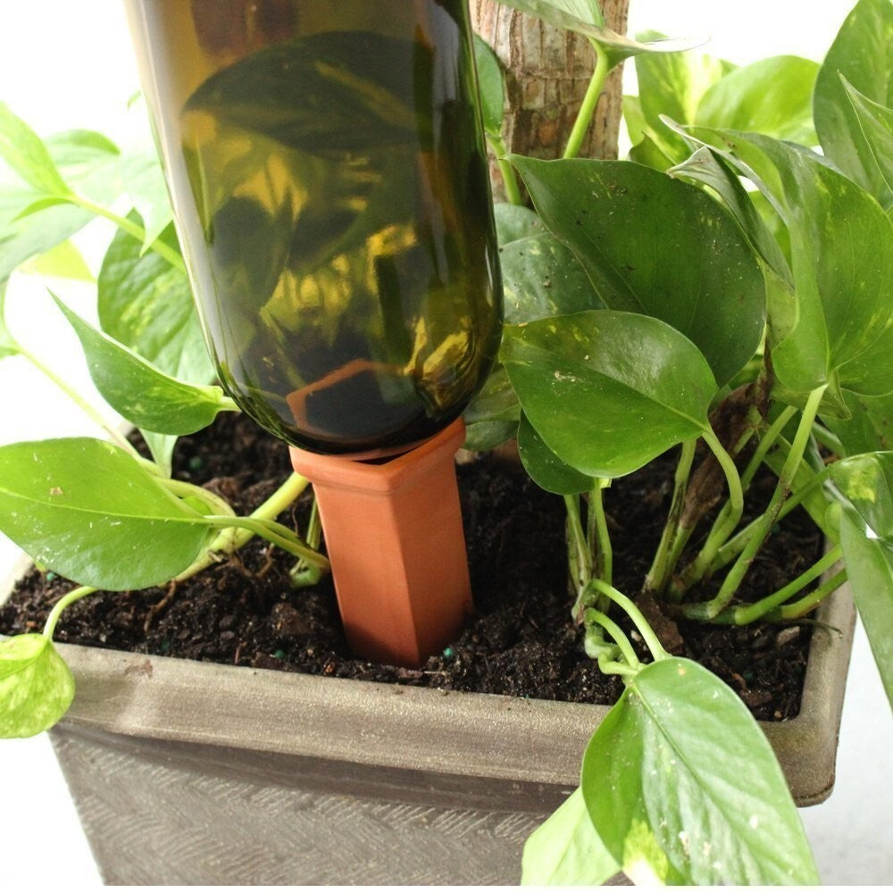 Set of 4 Plant Sitter Self-Watering Stakes for Indoor and Outdoor Plants