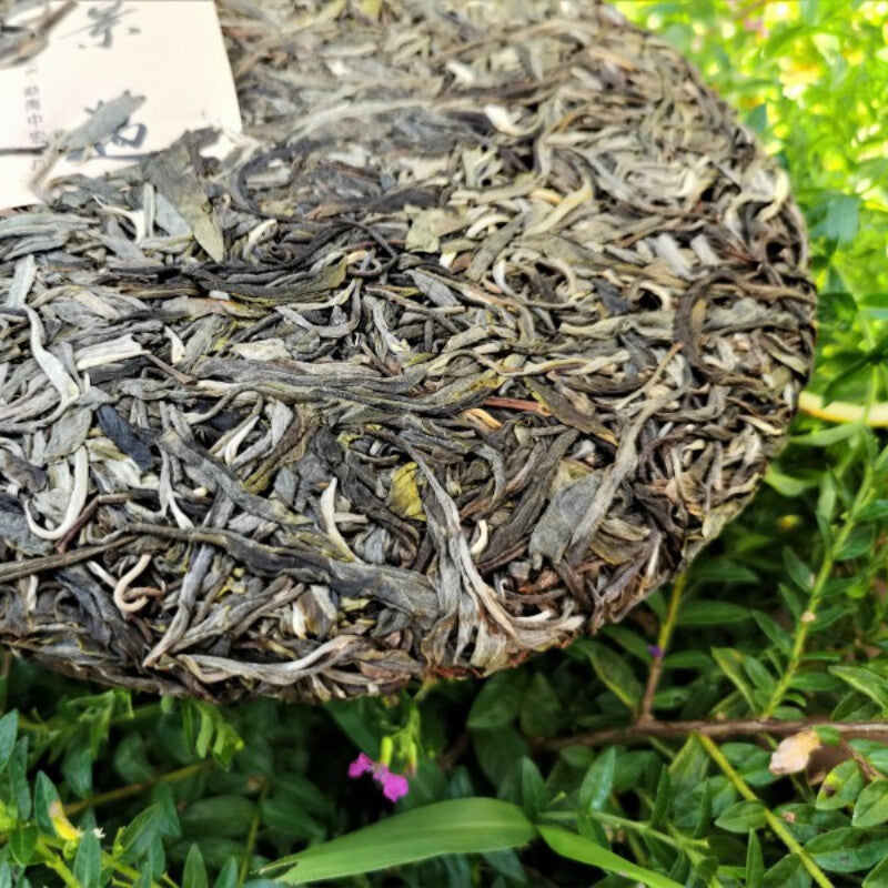 357g Spring Tea Pu'er Tea Cake Top Jingmai Ancient Tree Cha Tea Pu'er Gift Tea