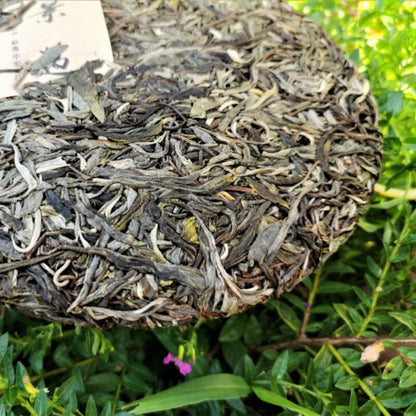 357g Spring Tea Pu'er Tea Cake Top Jingmai Ancient Tree Cha Tea Pu'er Gift Tea