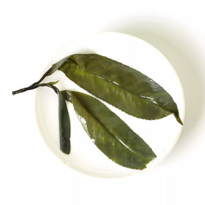 1000g Premium Needle Kuding Bitter Herbal Green Tea Chinese Spike Large-leaf