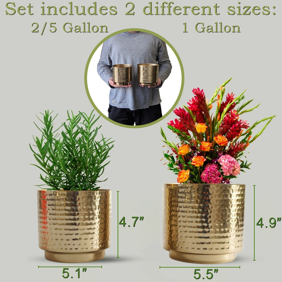 1/2 Gallon and 2/5 Gallon Hammered Gold Color Metal Pots for Indoor / Tabletop