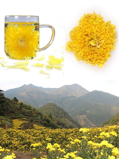 4Pcs Gold Huang Ju Chrysanthemum a Large Cup of Organic Chrysanthemum Herbal Tea