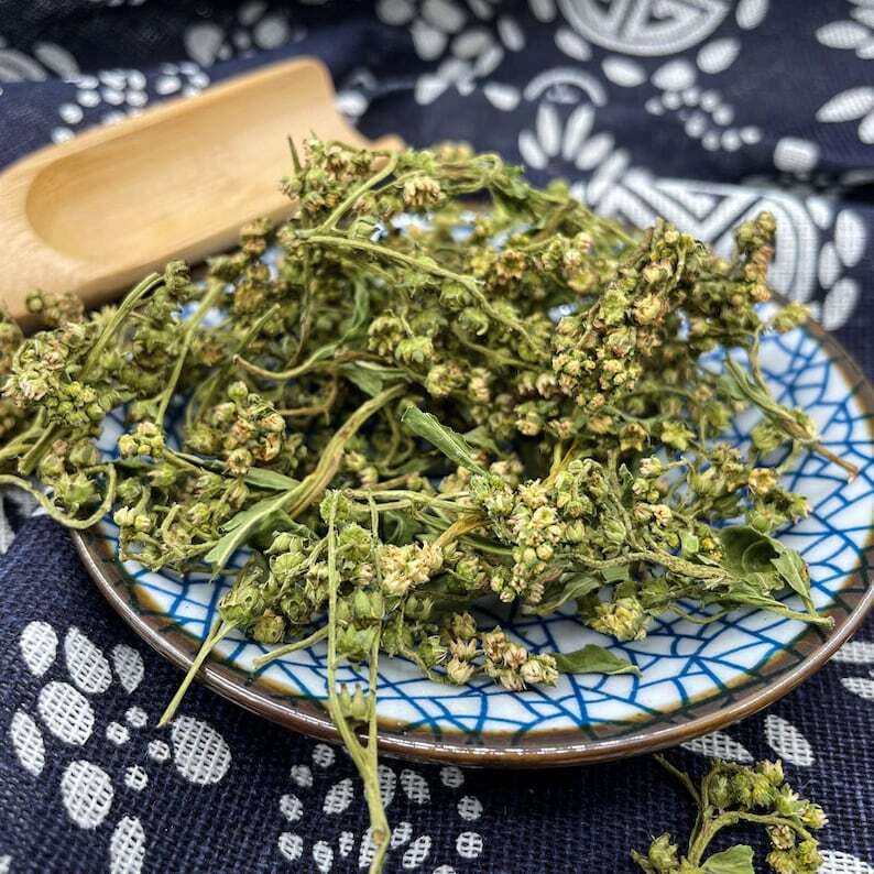 Pure Natural Penthorum Chinense Pursh. Oriental Penthorum Great Quality