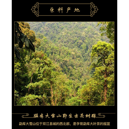 Green Cake Puer 400g MengKu Hao Rongshi Mengku Qizi Tea Biscuit
