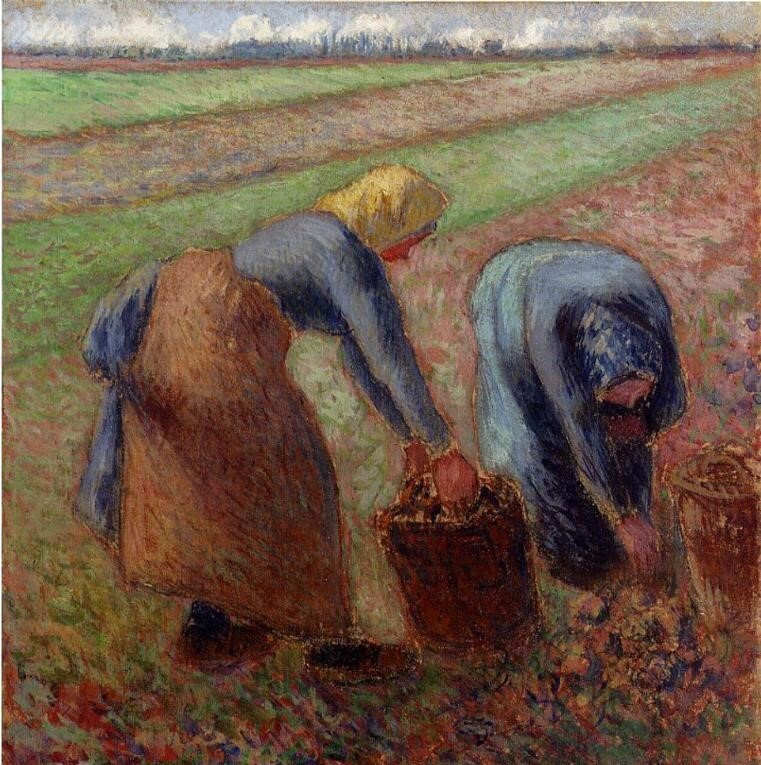 Oil painting Potato-Harvest-1885-Camille-Pissarro-oil-painting Potato-Harvest-18