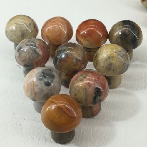 10pc Natural Crazy agate Quartz hand Carved mushroom crystal Reiki healing