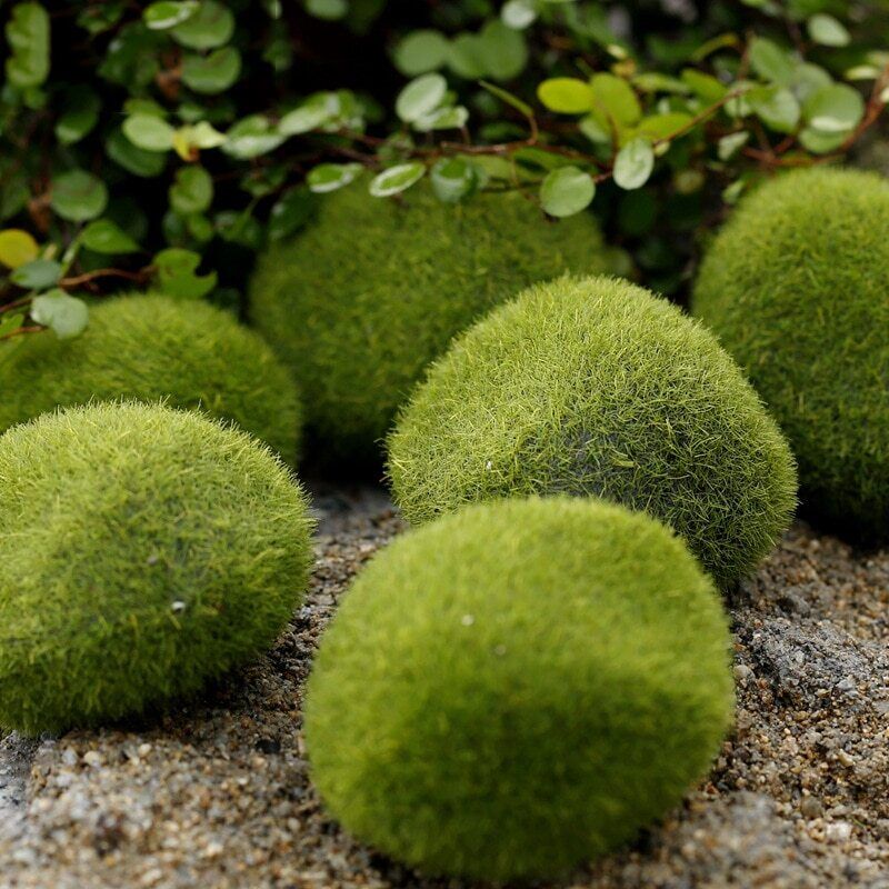 Ant Farm Decoration Artificial Mini Moss Stones Micro-Landscape Decor 3 6 8 10cm