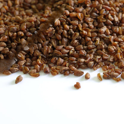 HELLOYOUNG 100g/3.52oz Premium Roasted Tartary Buckwheat Grain Black Herbal Tea