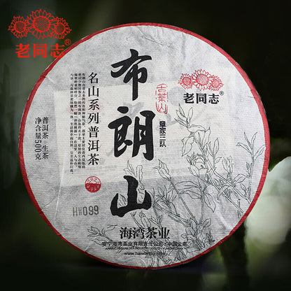 2022 Haiwan Zhang Jia San Dui Raw Puer Tea Bulang Mountain Sheng Puerh 500g
