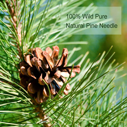 TEARELAE Pine Needle Tea Natural Masson Pine Needles Herbal Tea 142g