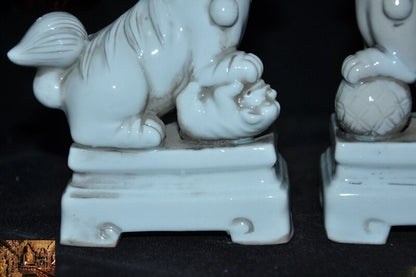 5" China Old Dehua White Porcelain Glaze Fu Foo Dog Lion Beast Statue Pair