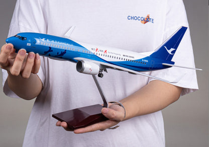 1:85 47CM XIAMENAIR BOEING 737 MAX Passenger Airplane Landing gear Resin Model