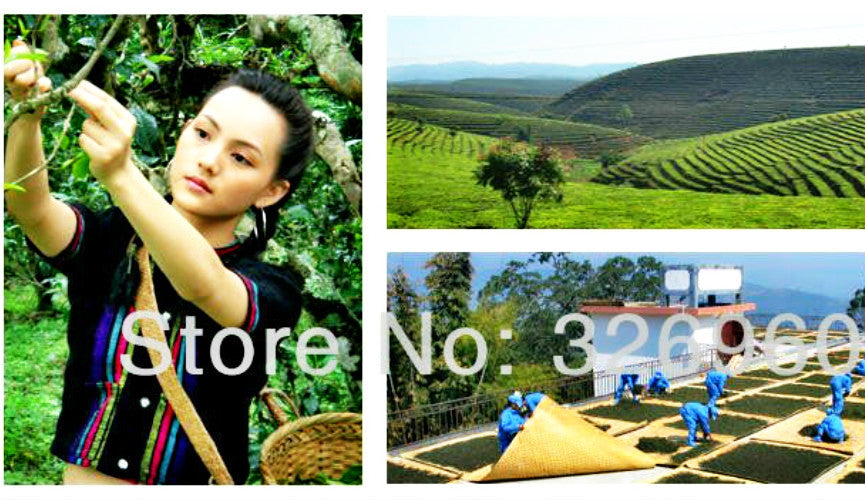 200g Chen Xiang Ya Yun Yunnan Puerh Tea Eco Puer Ripe Tea Pu Er Tea Green Food