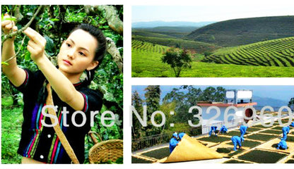 200g Chen Xiang Ya Yun Yunnan Puerh Tea Eco Puer Ripe Tea Pu Er Tea Green Food