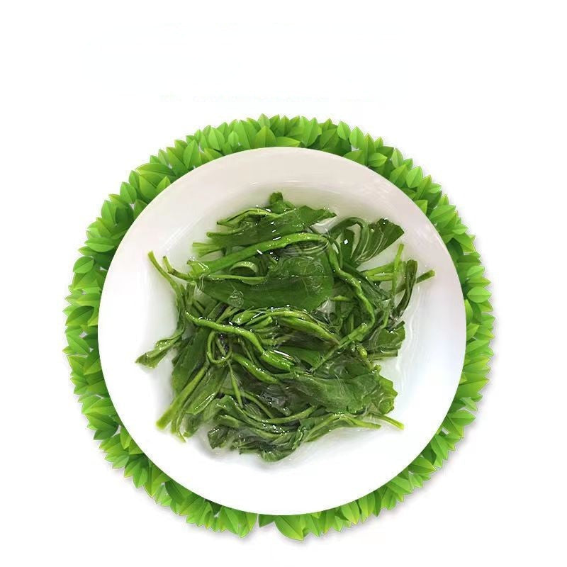 High Mountain Green Tea Premium Organic Tea Chinese Green Tea Bagged Looose Leaf