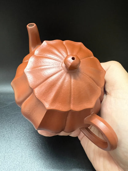 170cc chinese Yixing Handmade Zisha teapot Zhuni PanHu Gongfu Hu Tea Pot