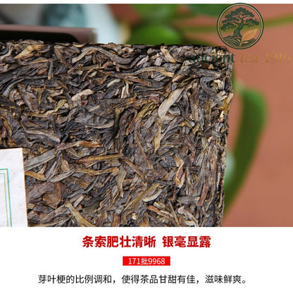 250g Yunnan Hai Wan Green Puer Tea Haiwan Old Comrade 2017 Sheng Pu Er 9968