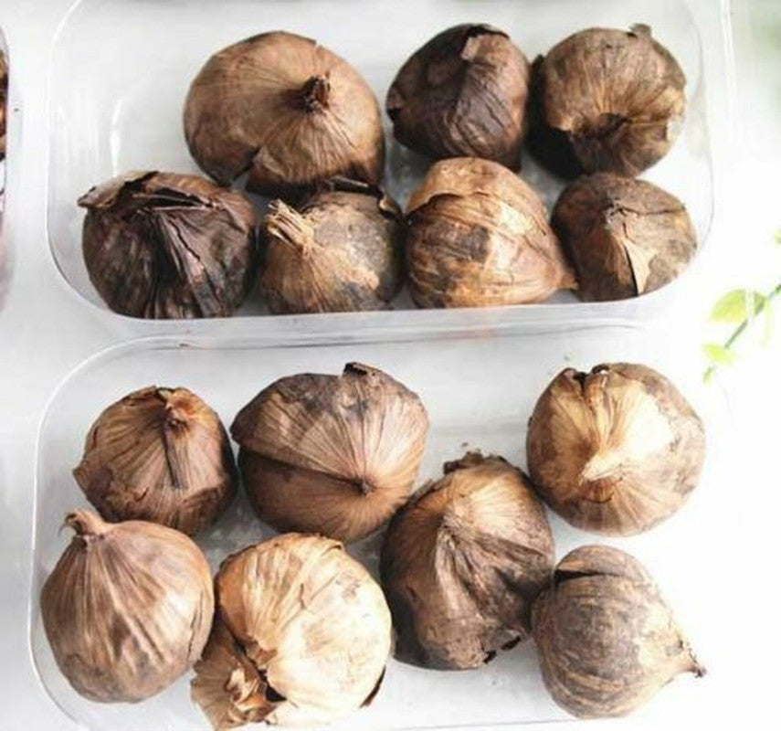 HelloYoung Black Garlic 100g 90-Day Ferment Blood Sugar Balance Food 500g