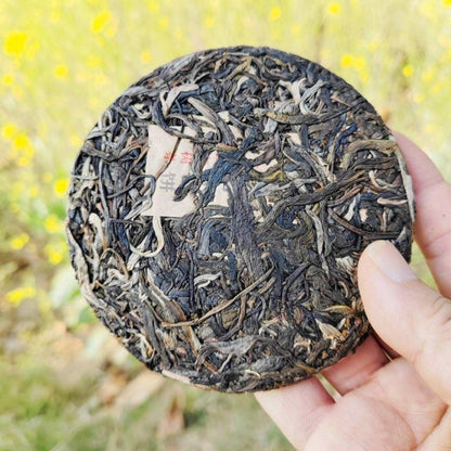 100g Raw Pu'er Tea Daxue Mountain Ancient Tree Mini Tea Cake Mengku Yunnan