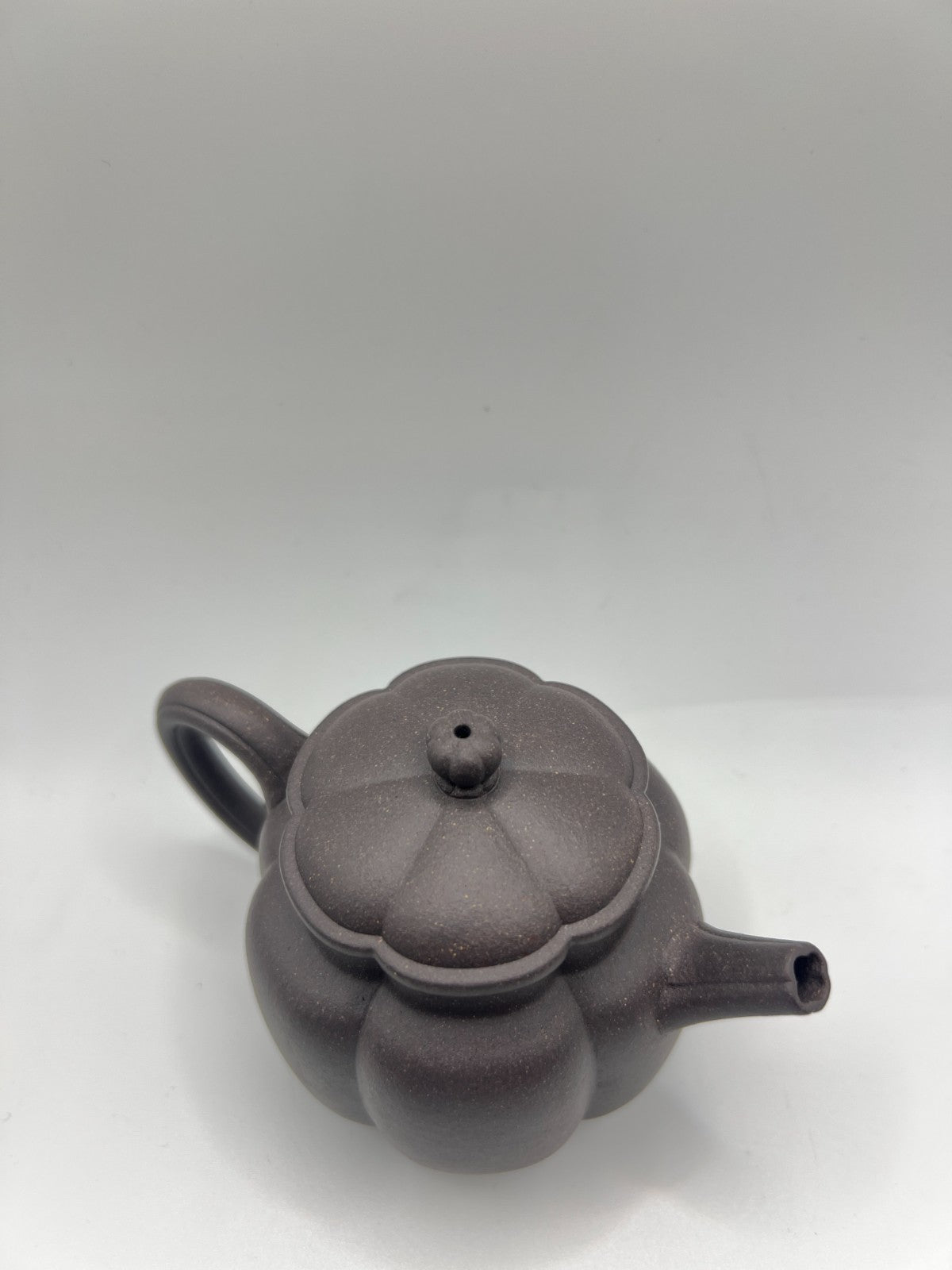 150cc chinese Yixing Handmade Zisha teapot TianQing clay FanHua Gongfu Tea pot