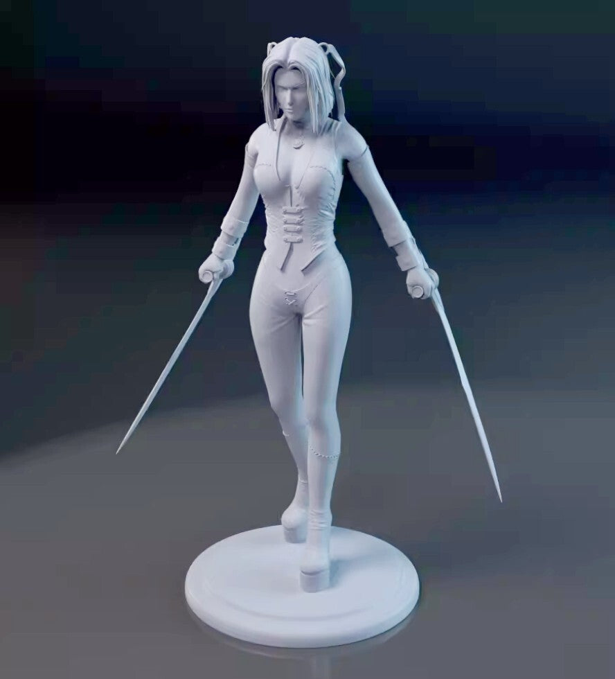 1/18 resin figure model kit Double Blade Female Hero 3D Printing Unassembled