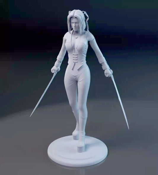 1/18 resin figure model kit Double Blade Female Hero 3D Printing Unassembled