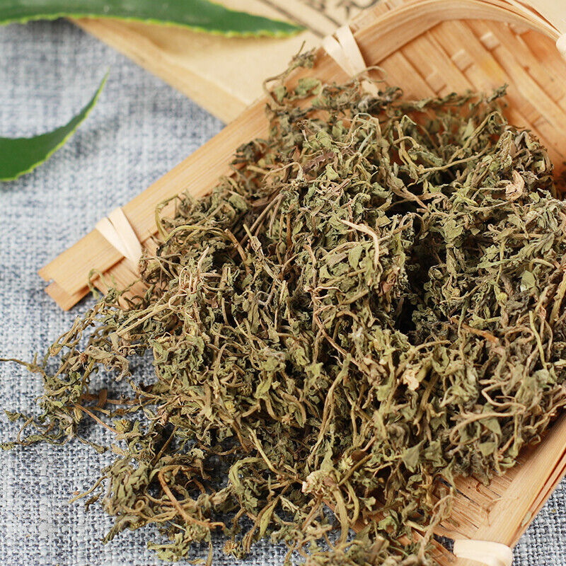100% Organic Healthy Herbal Tea Ebushicao Chinese Specialty 250g /500g
