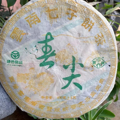 CHUN JIAN Spring Tip * 2006 Puwen Puer Tea Sheng YUNYA Pu Er Aged Puer Raw 400g