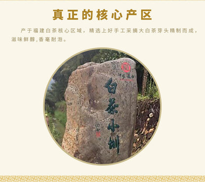 Premium Silver Needle White Tea Fu Ding Bai Hao Yin Zhen Tea 75g Tin