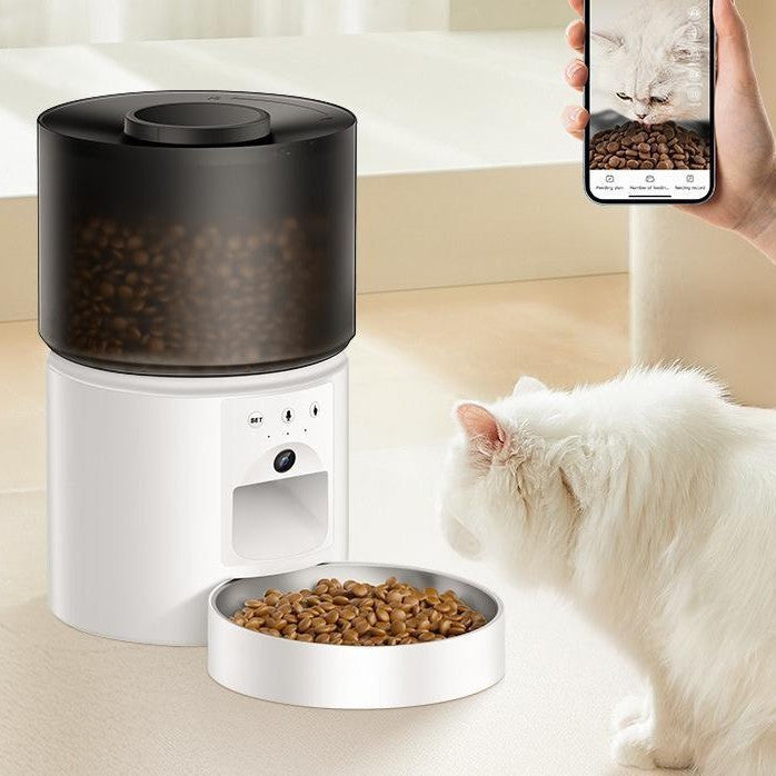 Automatic Cat Feeder Food Dispenser: 3L Timed Small Dog Dry Food Dispenser