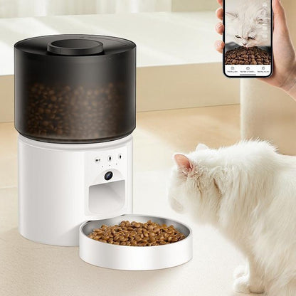 Automatic Cat Feeder Food Dispenser: 3L Timed Small Dog Dry Food Dispenser