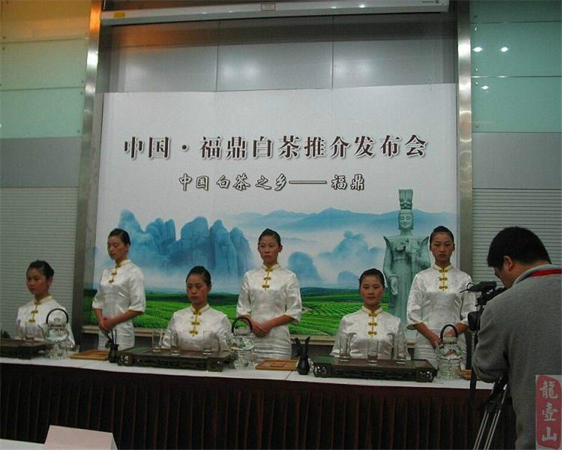 Promotion! 350g White Tea Organic Baimudan tea Fuding White Peony