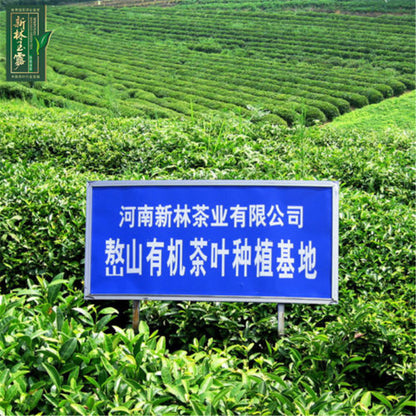 250g Premium Gyokuro Organic Jade Dew Loose Leaf Green Tea Weight Loss Herb Tea