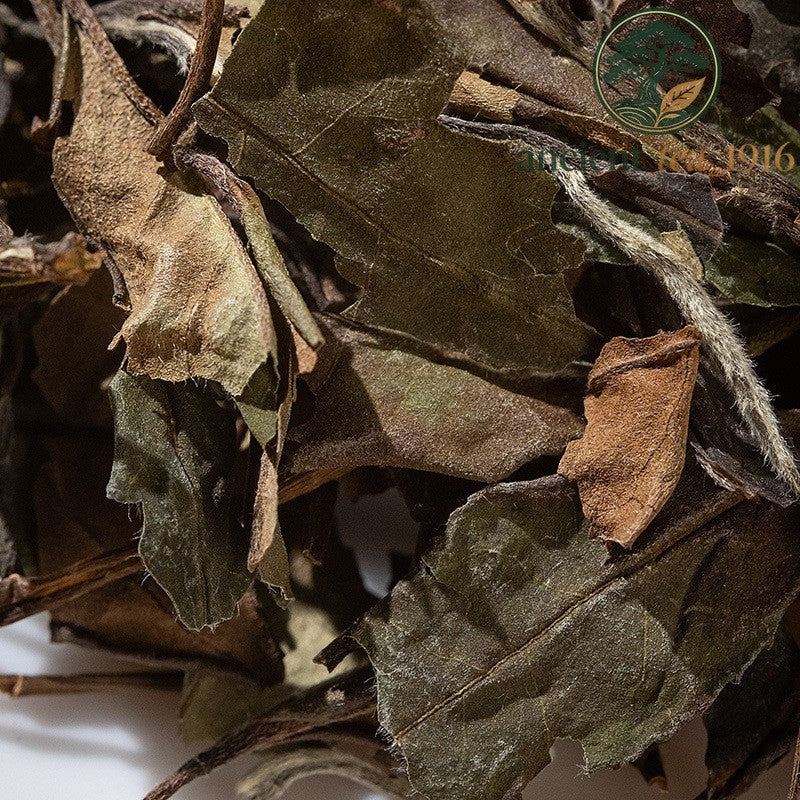 500g 2017 Fuding White Tea Shoumei Loose Tea Fujian White Tea