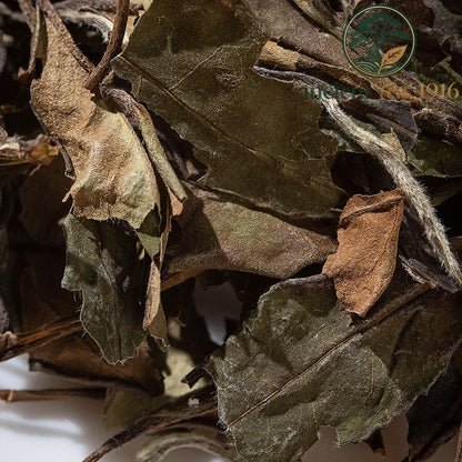 500g 2017 Fuding White Tea Shoumei Loose Tea Fujian White Tea