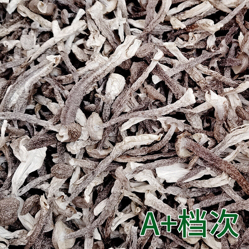 Premuim Deep Mountain Edible Fungi Dried Velvet Mushroom Antler Mushroom 250g