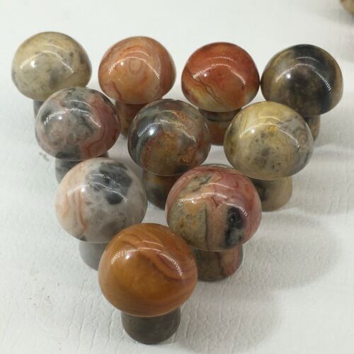 10pc Natural Crazy agate Quartz hand Carved mushroom crystal Reiki healing
