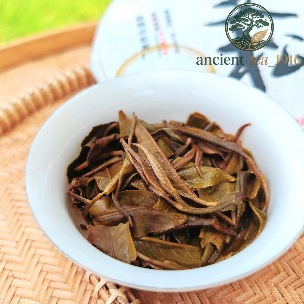 357g 2021 Mansong Yiwu Ancient Tree Pu'er Raw Tea Cake