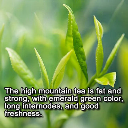 Taiwan Jinxuan Milk Wulong tea, Premium High Mountain Oolong Tea