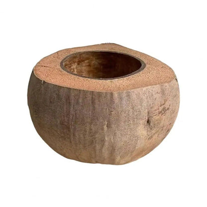 Natural Coconut Shell Bowls Multi-Purpose Decorative Handmade Storage 16x16x12cm