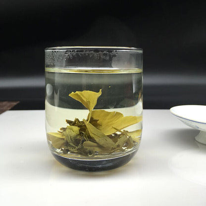 Bulk China Gingko Leaf Tea, yin xing blood pressure herbal Cha tee