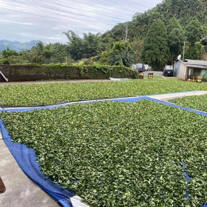 Taiwan unique tea,TTES No.12 (Jhinshuan),Namasya Jinxuan oolong tea,150g*4