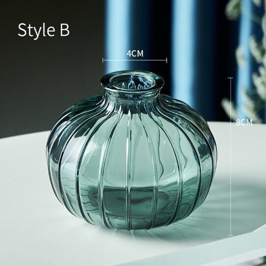 Relief Small Glass Vase Hydroponic Terrarium